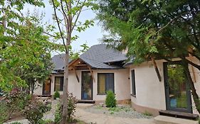 Happy Nomads Yurts & Hostel