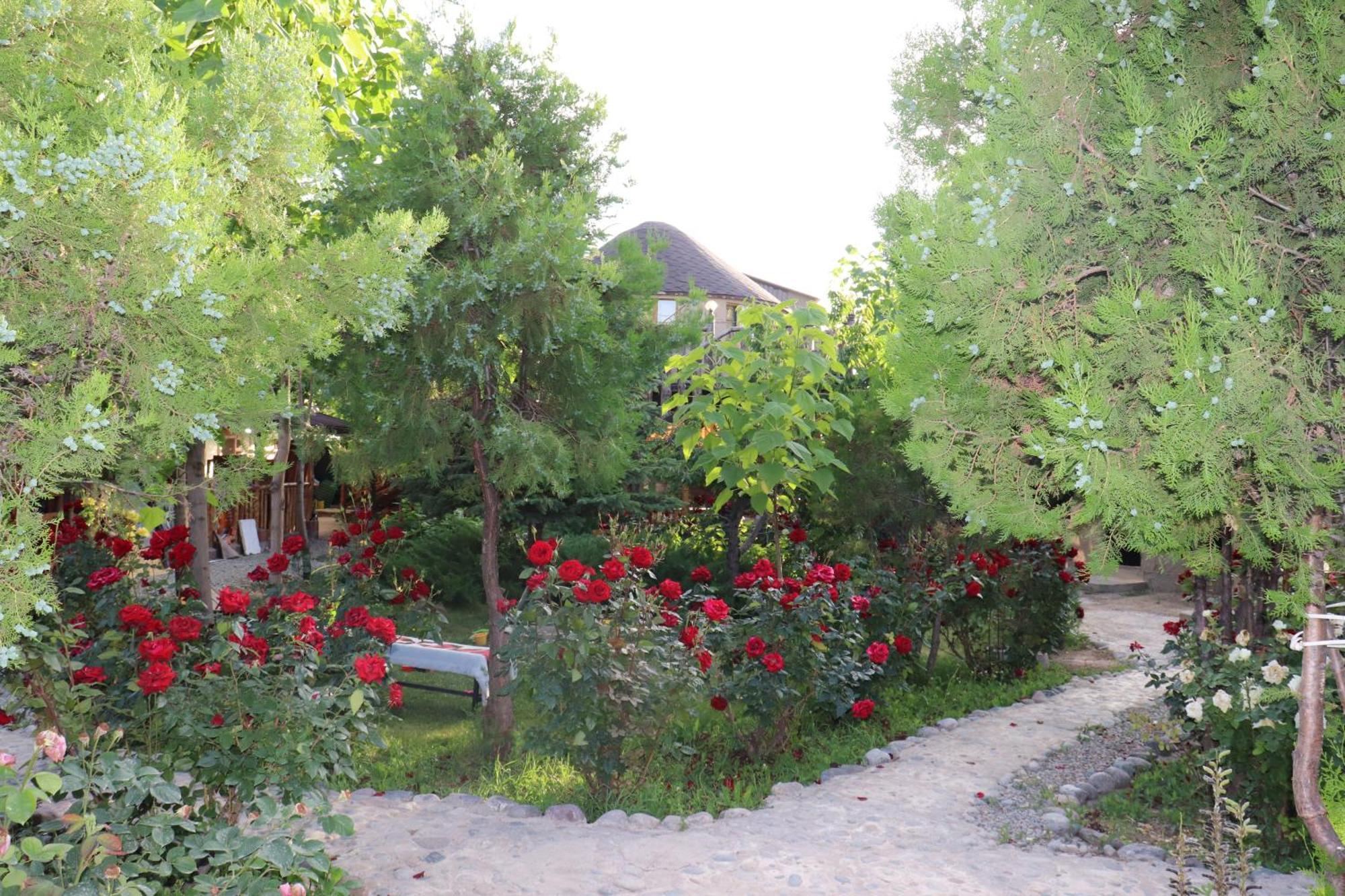 Happy Nomads Yurts & Hostel Karakol Exterior foto