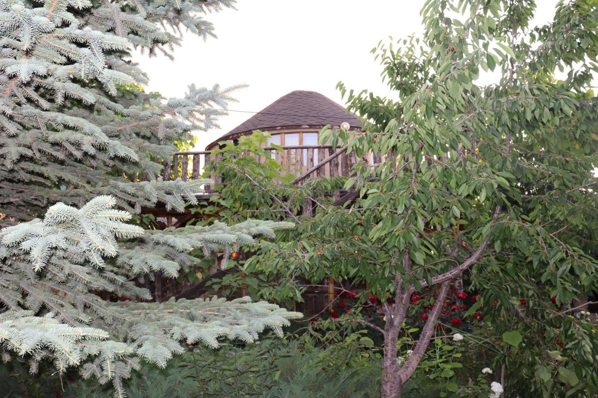 Happy Nomads Yurts & Hostel Karakol Exterior foto