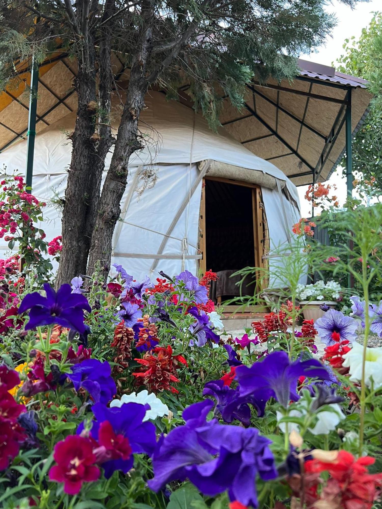 Happy Nomads Yurts & Hostel Karakol Exterior foto
