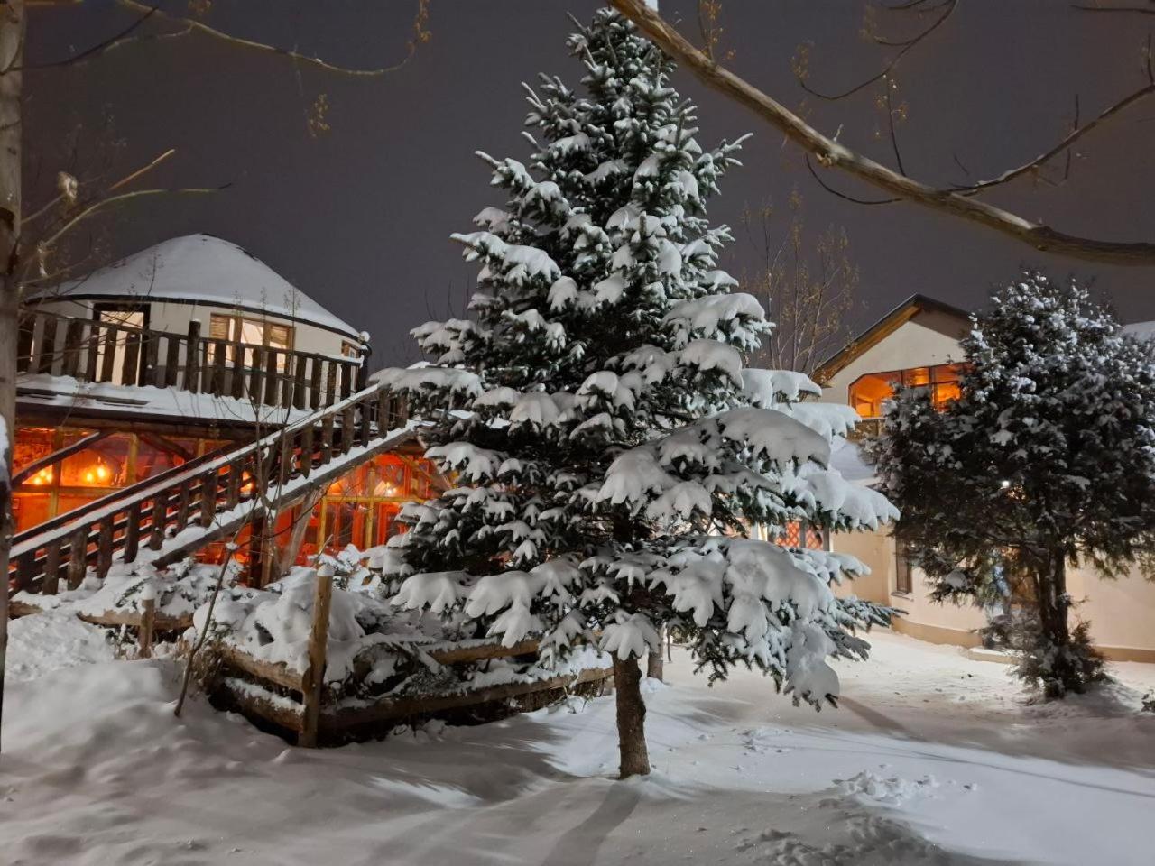 Happy Nomads Yurts & Hostel Karakol Exterior foto