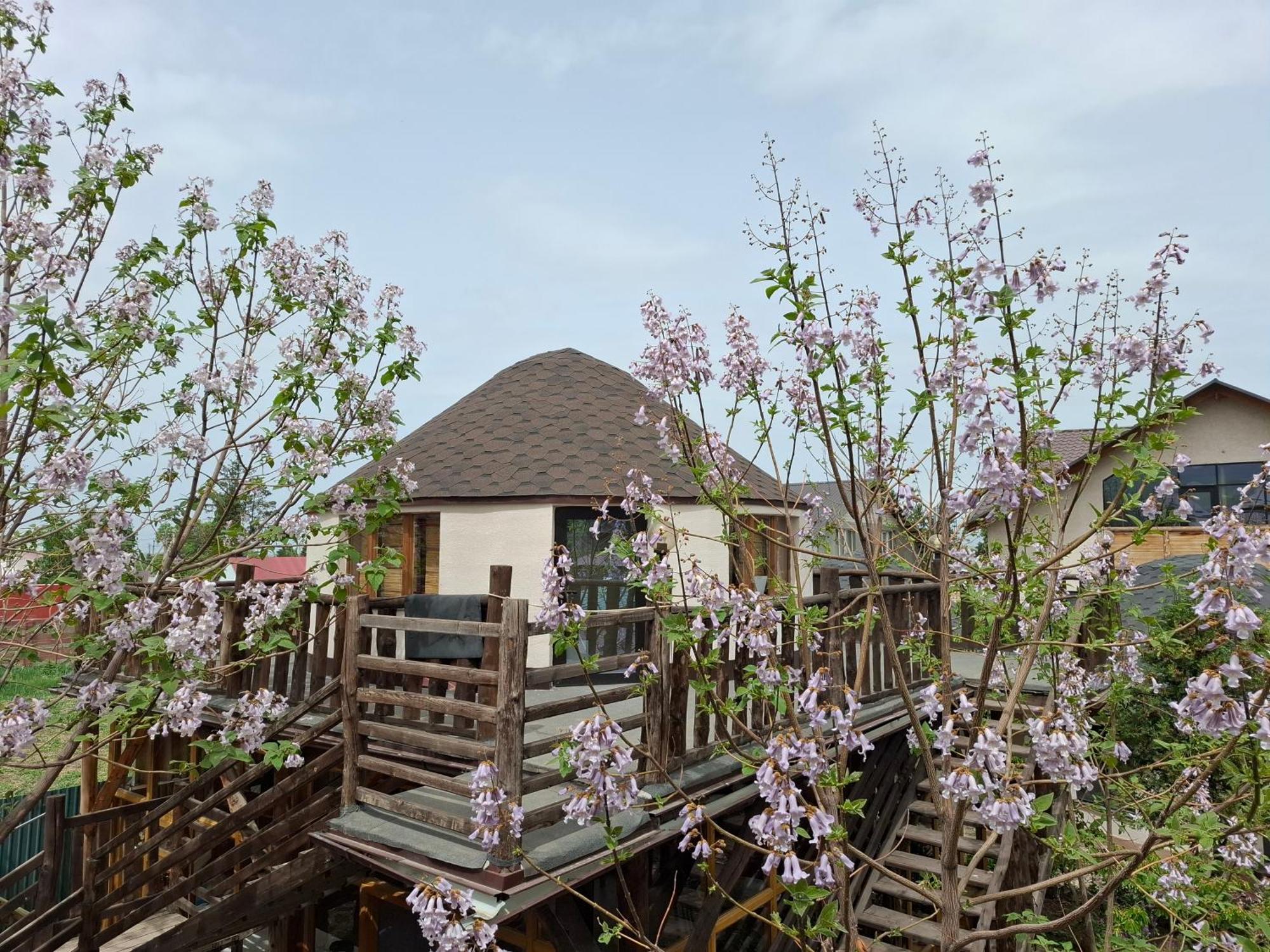 Happy Nomads Yurts & Hostel Karakol Exterior foto